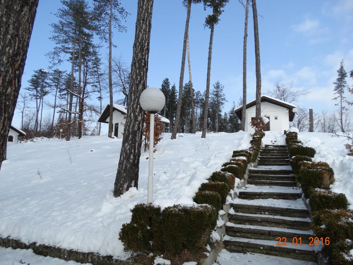 Complex Brashlyan Hotel Tryavna Værelse billede