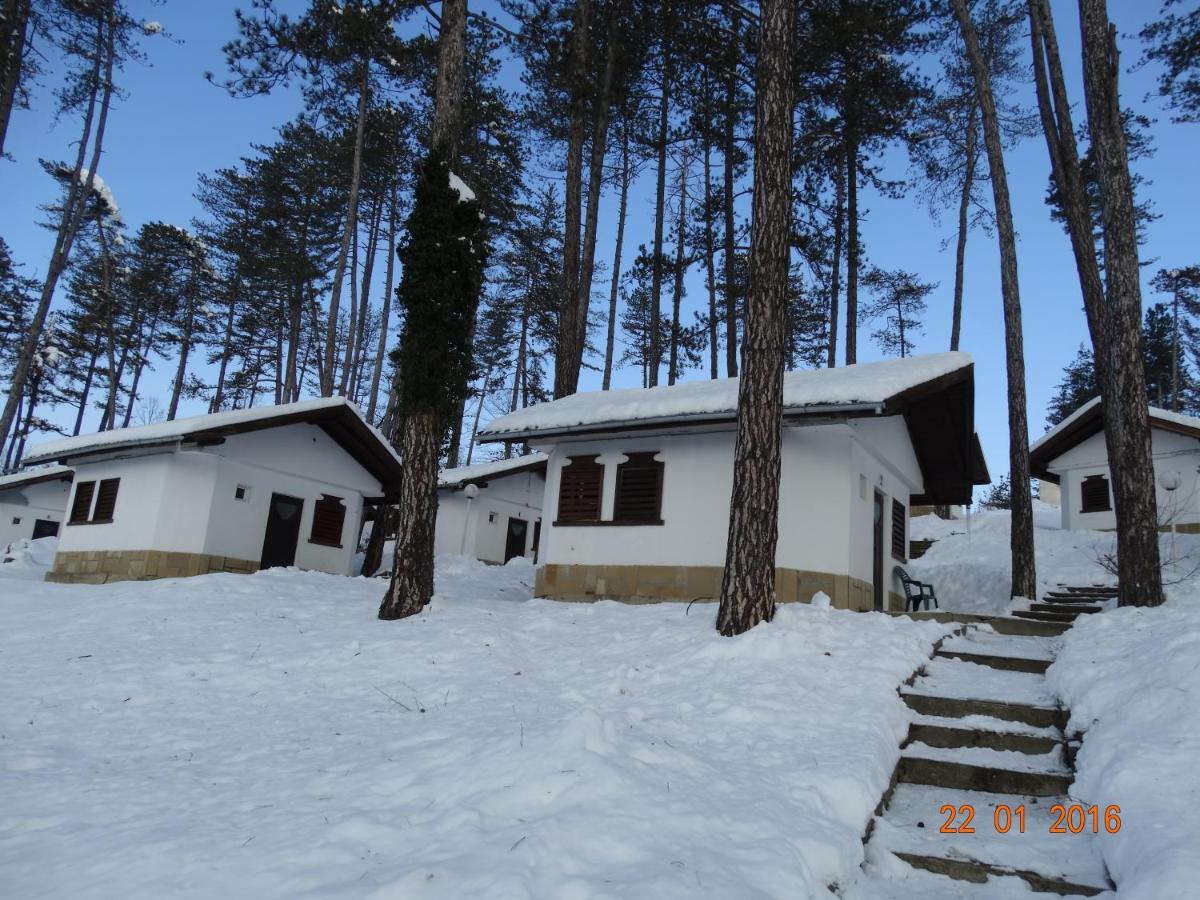 Complex Brashlyan Hotel Tryavna Værelse billede